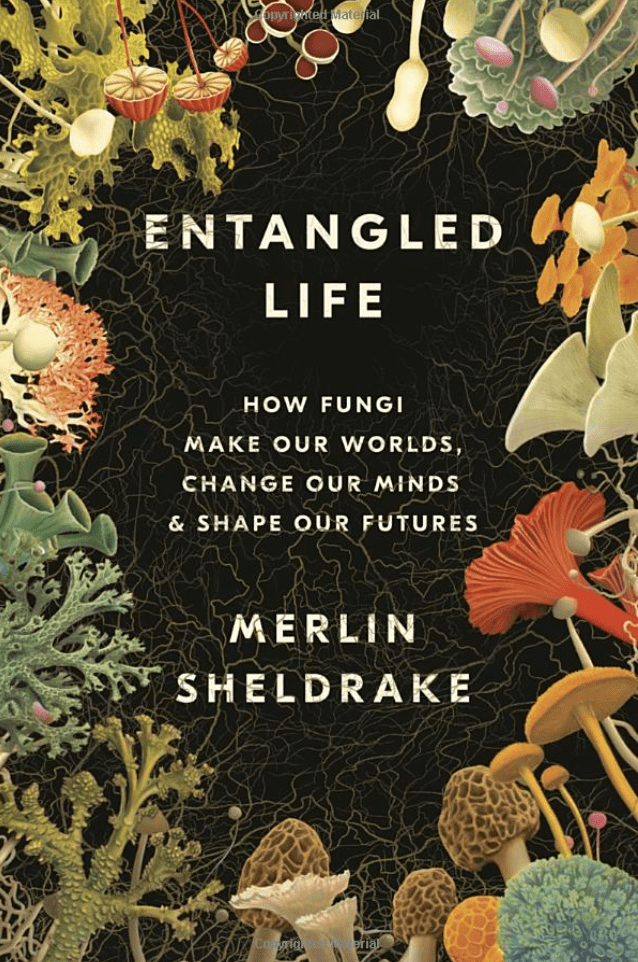 entangled life book