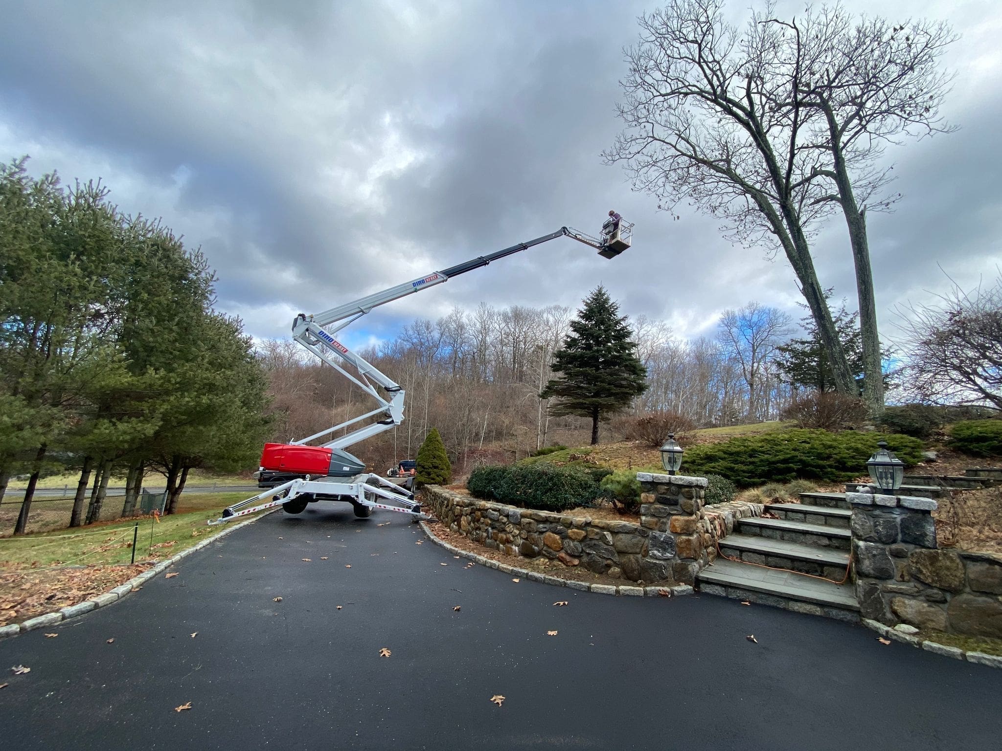 tree work via bucket