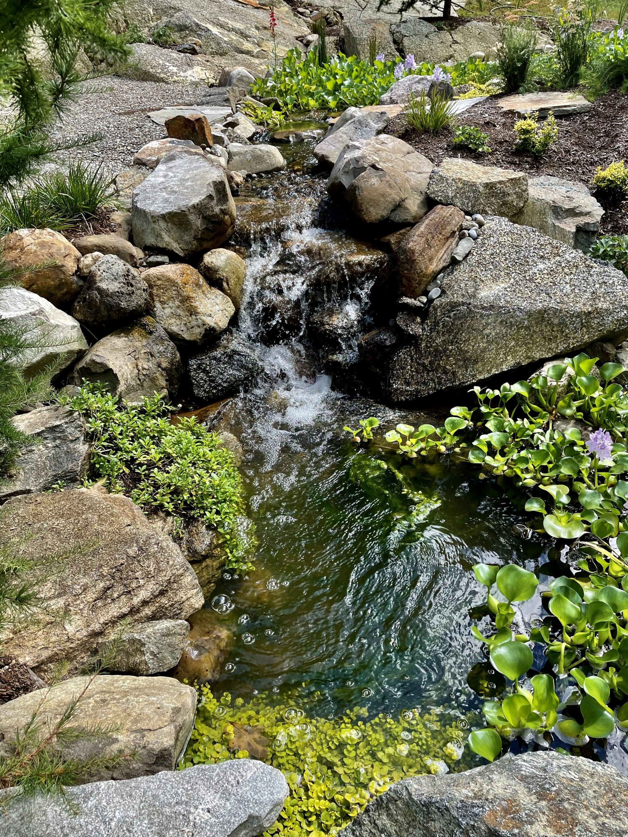 natural stream