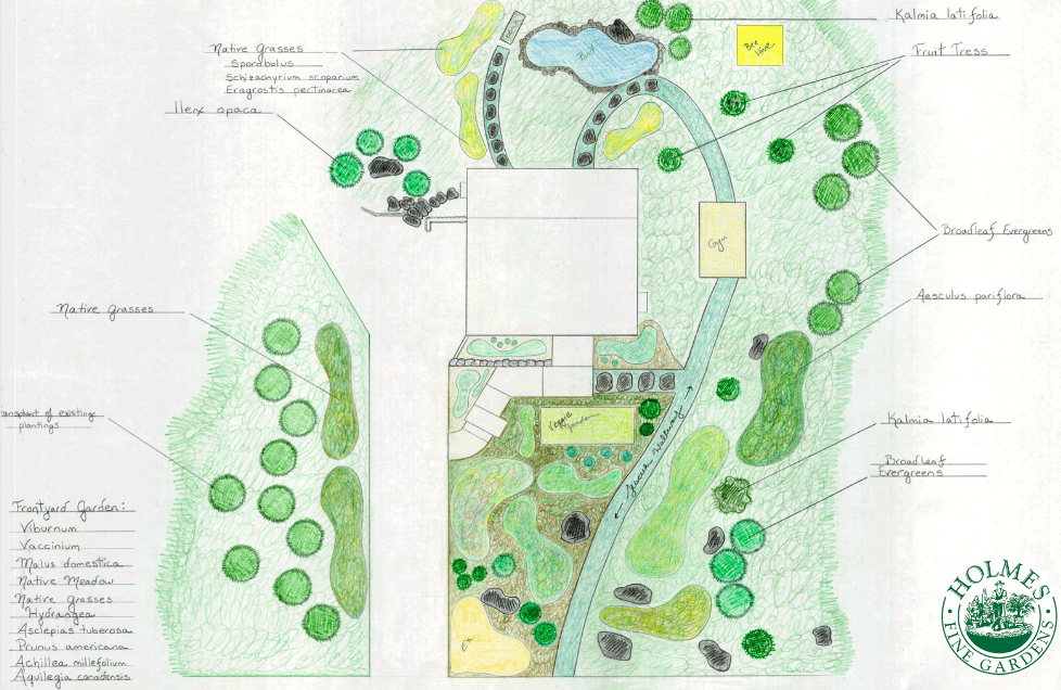 Hand-drawn garden design