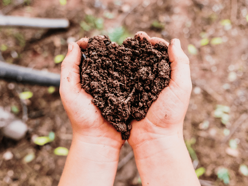 Fertilizer