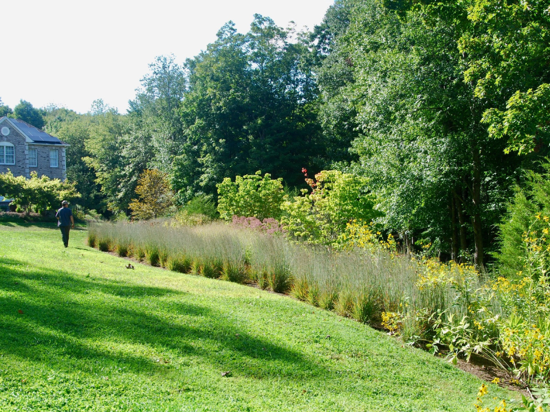 Native meadow setting, front of house.