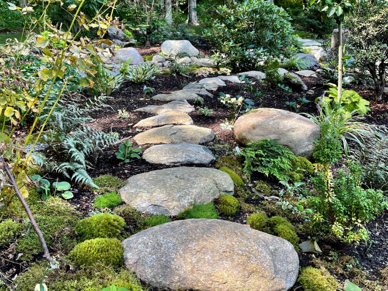 A natural stepping stone path.