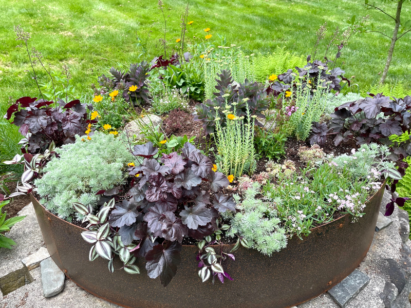 Freshly planted container garden.