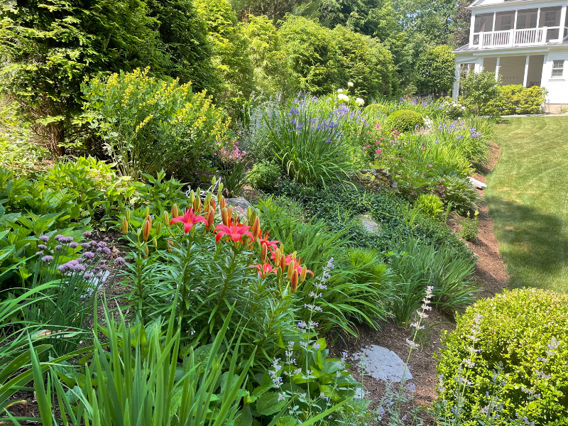 mid summer garden