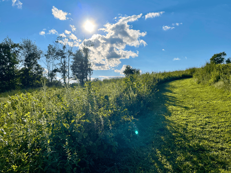 Holcombe Hill Nature Reserve